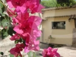 La Pineta Park Hotel Erice